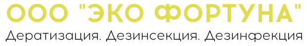 На главную